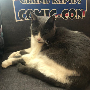 Meet your Posher, Ellianna